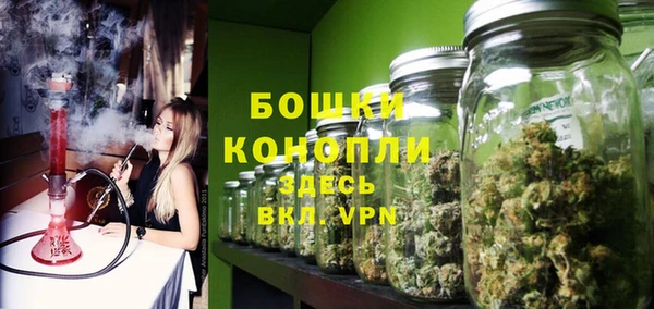 ECSTASY Елизово