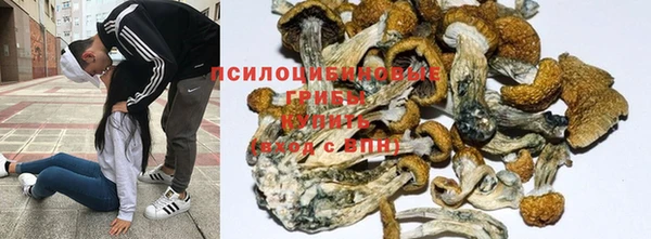 спайс Ельня