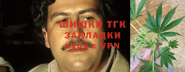 спайс Ельня